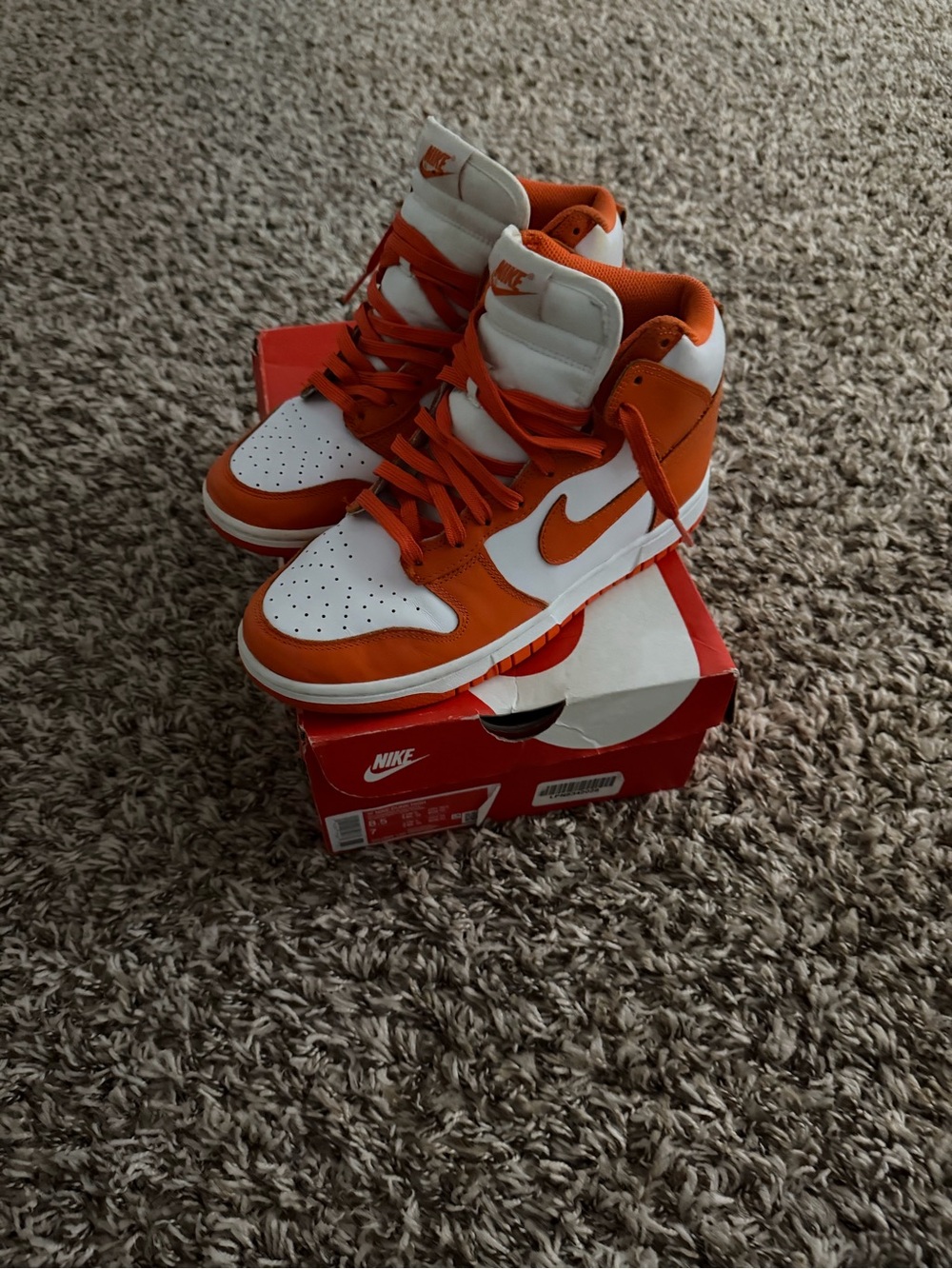 Nike Dunk